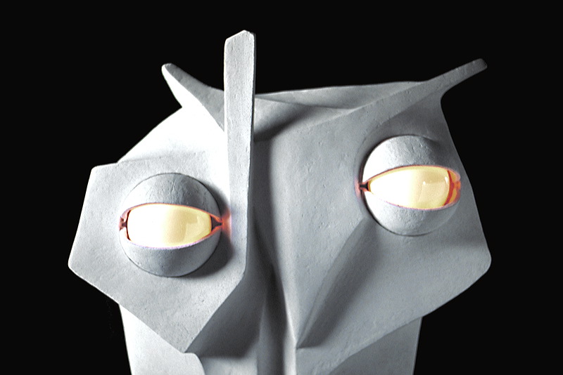 cd01-070-oiseau_de_nuit.jpg