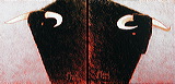 cd12-tete_de_taureaux_mix_2